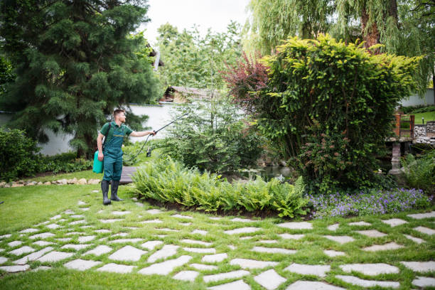 Best Best Pest Control Companies  in Lebanon, NH