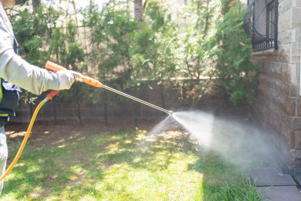 Best Rodent Control Near Me  in Lebanon, NH