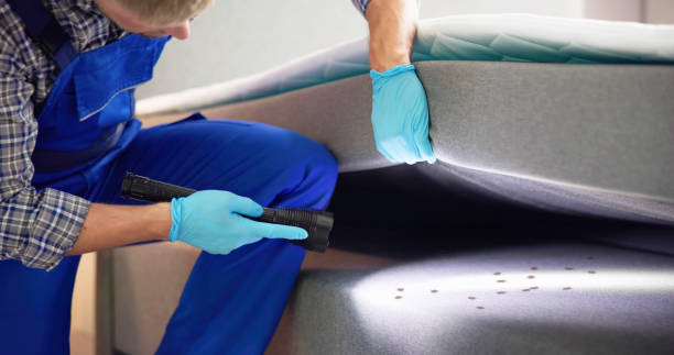 Best Exterminator Services  in Lebanon, NH
